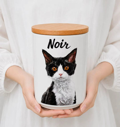 Custom Hand-Painted Pet Memorial Box, Urn For Ashes, Fur & Hair, Personalized Dog Cat Loss Keepsake